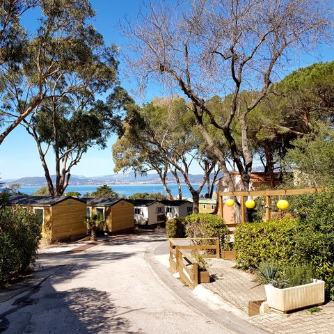 Camping Clair de Lune - Camping Var - Afbeelding N°2