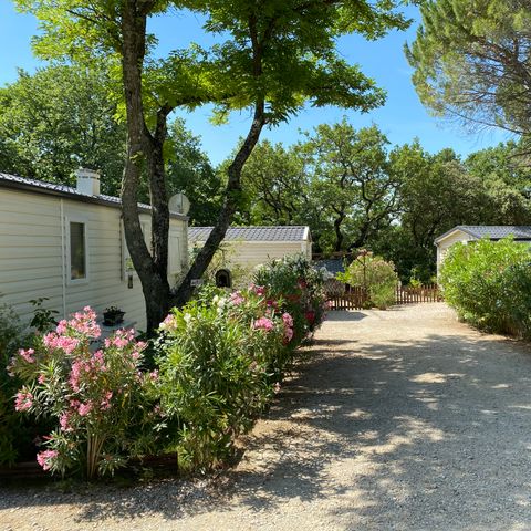 Camping La Vallée De Barry - Camping Vaucluse - Afbeelding N°4