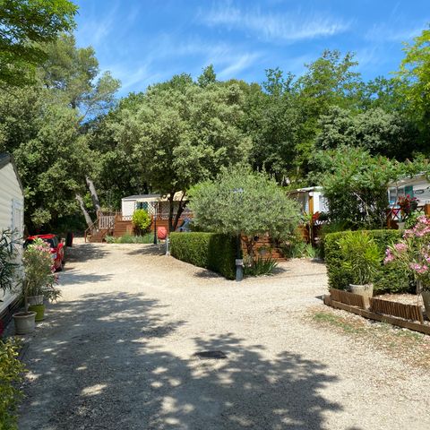 Camping La Vallée De Barry - Camping Vaucluse - Afbeelding N°5