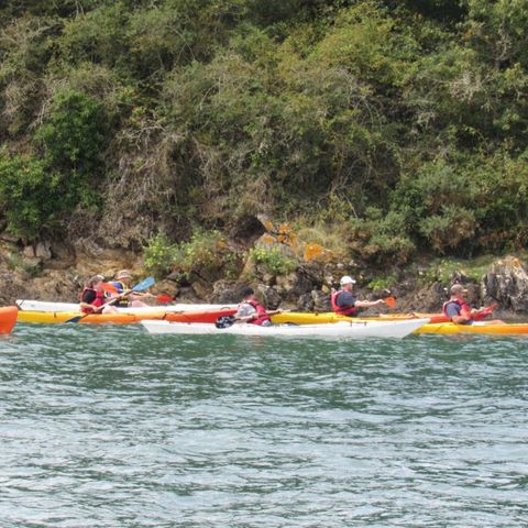 Camping Les Etangs - Camping Ille-et-Vilaine - Afbeelding N°6