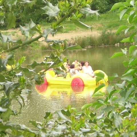 Camping Les Logis de L'Oumois - Camping Maine-et-Loire - Afbeelding N°3