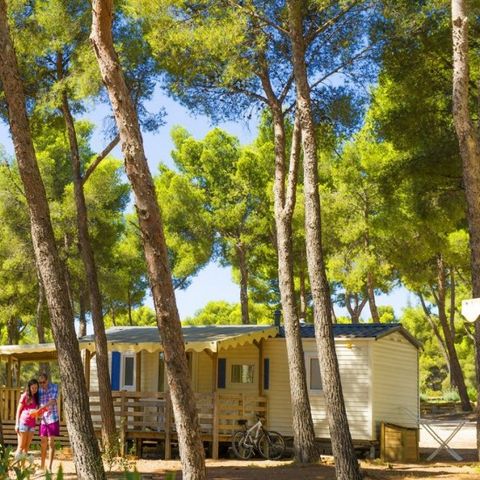Camping AEC Vacances Les Dauphins - Camping Var - Afbeelding N°3