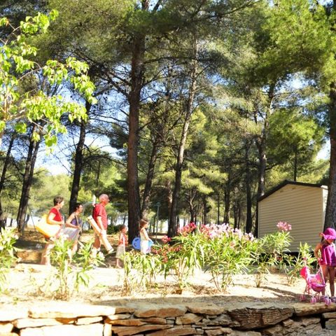 Camping AEC Vacances Les Dauphins - Camping Var - Afbeelding N°2
