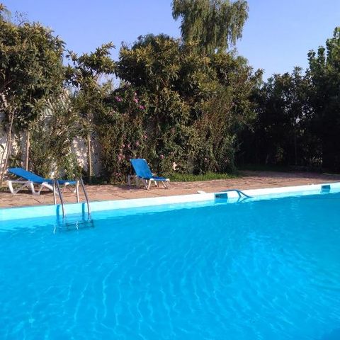 Camping La Naranja - Camping Valencia - Afbeelding N°3