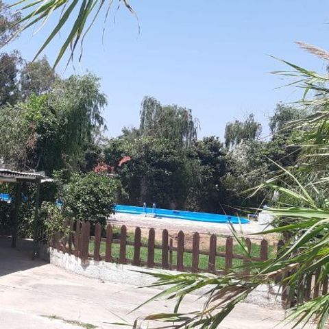 Camping La Naranja - Camping Valencia - Afbeelding N°2