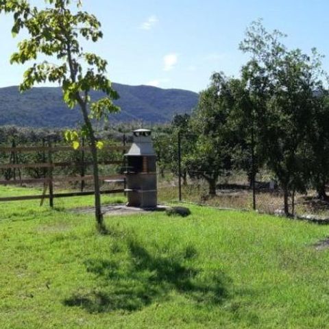 Camping La Naranja - Camping Valencia - Afbeelding N°6