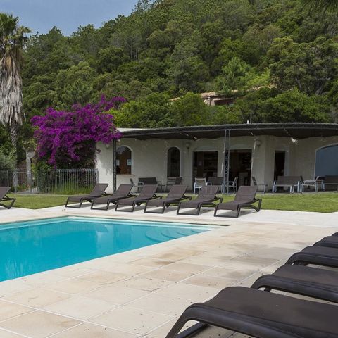 Camping Residence Mare e Monte - Camping Zuid-corsica - Afbeelding N°3
