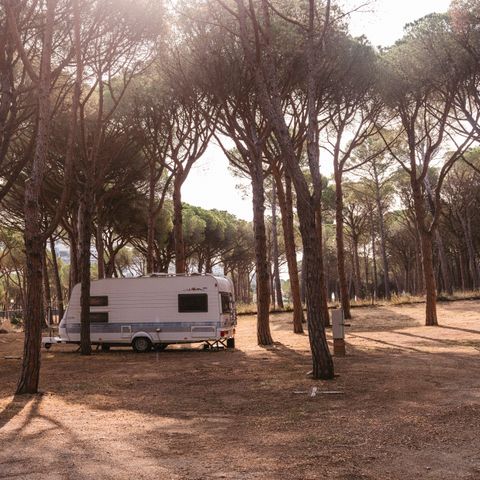 STAANPLAATS - PLUS standplaats voor campers (tenten niet toegestaan)