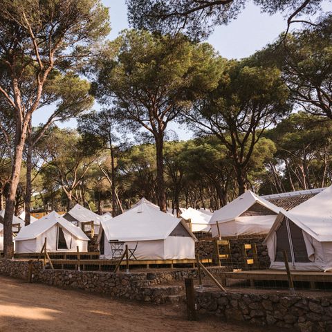 Safaritent 2 personen - Bellentent Plus
