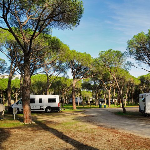 STAANPLAATS - PREMIUM PARCEL voor campers en caravans (tenten niet toegestaan)