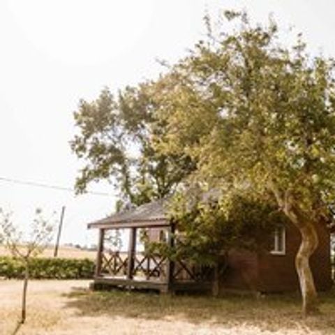 Chalet 6 personen - (C01)