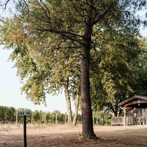 Chalet 5 personen - (C02)