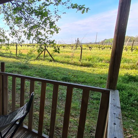 Lodge 5 personen - Tite lodge - 2 kamers zonder sanitair