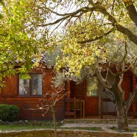 Bungalow 4 personen - Bungalow