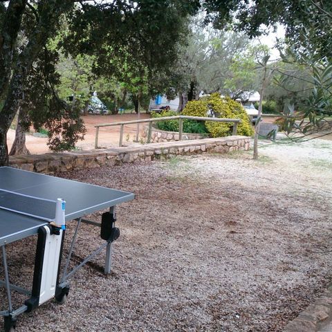 CAMPING ALQUEZAR - Camping Huesca - Afbeelding N°5