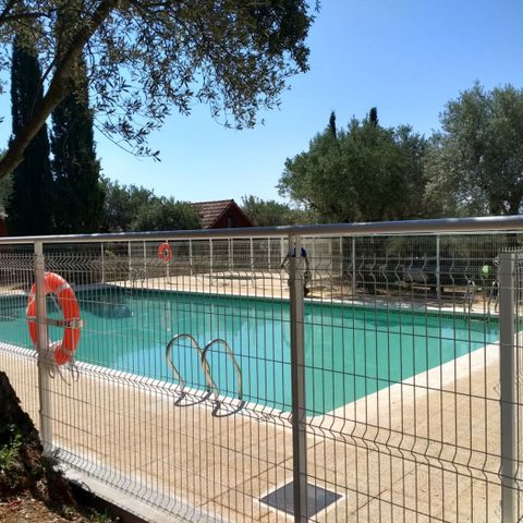 CAMPING ALQUEZAR - Camping Huesca - Afbeelding N°2