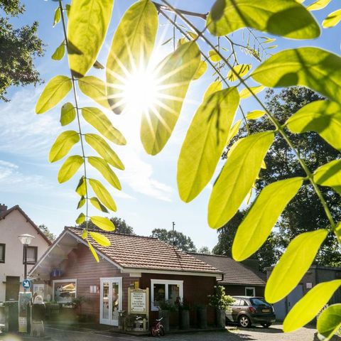 Familiecamping Klein Canada - Camping Bergen - Afbeelding N°3