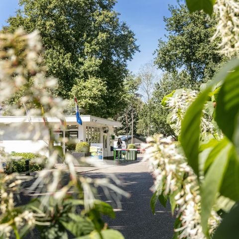 Vakantiepark de Bergen - Camping Sint Anthonis - Afbeelding N°5