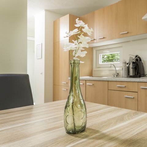 Stacaravan 4 personen - Villa de Bergen