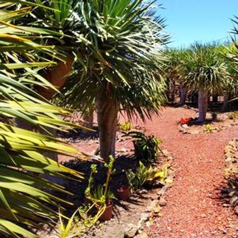 Camping Invernaderito - Camping Canarische Eilanden - Afbeelding N°3