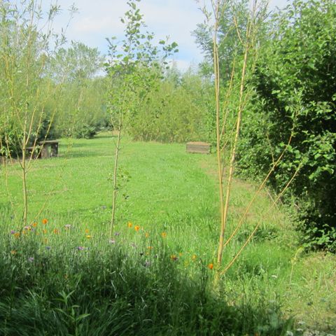 Camping L'Oseraie les Philiberts - Camping Gironde - Afbeelding N°3
