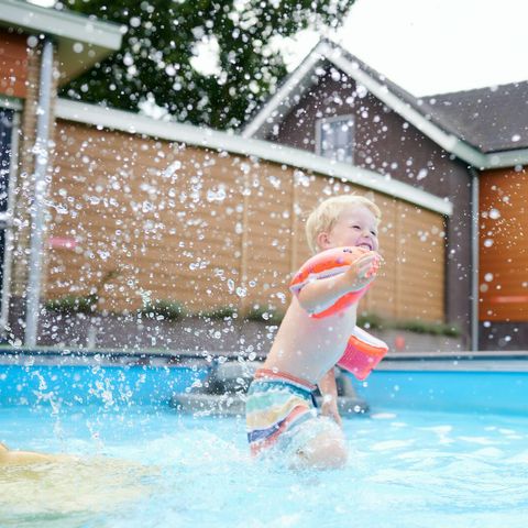 Village vacances Recreatielandgoed De IJsvogel - Camping Barneveld - Afbeelding N°3