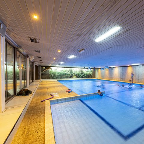 Camping Wilhelm Tell - Camping Belgisch Limburg - Afbeelding N°3
