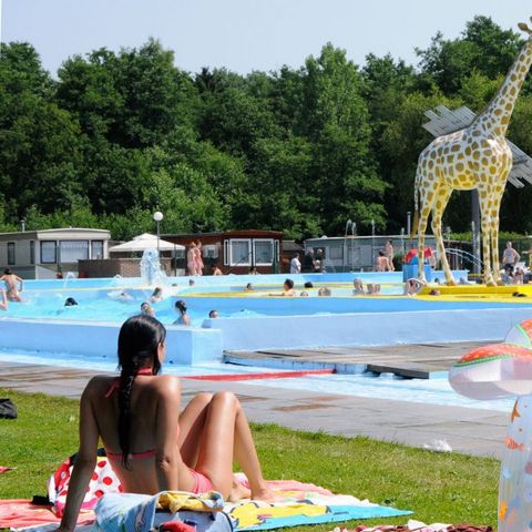 Camping Wilhelm Tell - Camping Belgisch Limburg - Afbeelding N°5
