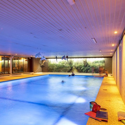 Camping Wilhelm Tell - Camping Belgisch Limburg - Afbeelding N°4