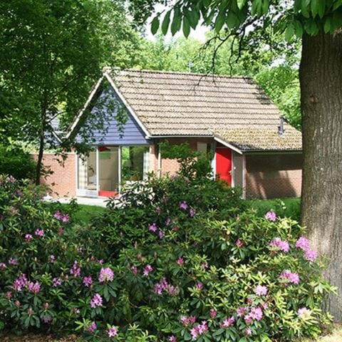 Bungalow 4 personen - IJssel
