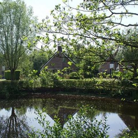 Bungalow 6 personen - Schipbeek