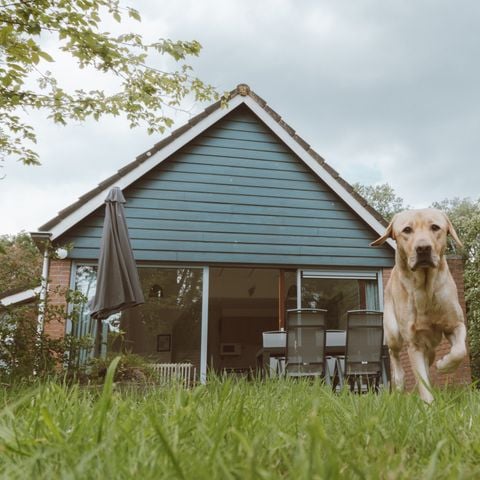 Bungalow 4 personen - IJssel Plus