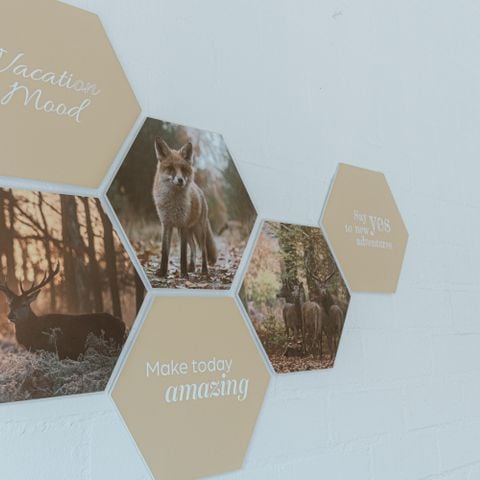 Bungalow 4 personen - IJssel Plus