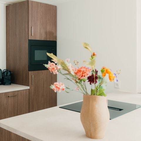 Bungalow 6 personen - Palthe Premium