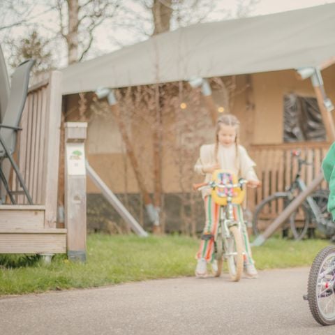 Vakantiepark Sallandshoeve - Camping Raalte - Afbeelding N°3