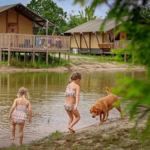 Vakantiepark Sallandshoeve - Camping Raalte - Afbeelding N°3