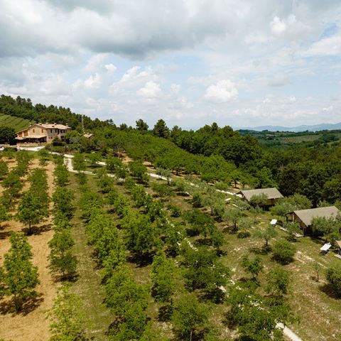 Camping Pian di Boccio - Camping Perugia - Afbeelding N°2