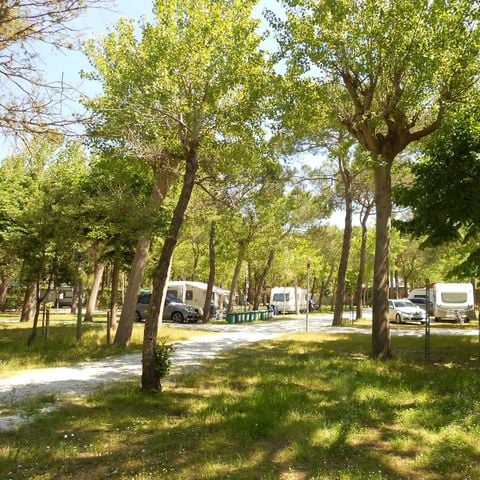 STAANPLAATS - Hond (Camper max 7mt)