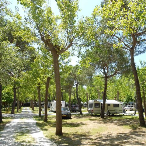 STAANPLAATS - Hond (Camper max 7mt)