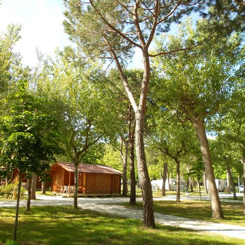 Chalet 5 personen - Standaard