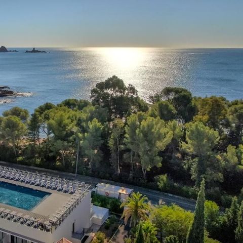 SOWELL RESIDENCES Les Chênes Verts - Camping Var - Afbeelding N°6