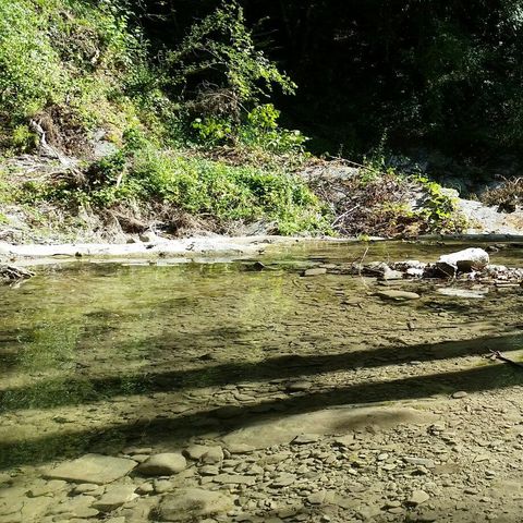 Le Sorgenti Camping Relax - Camping Florence - Afbeelding N°6