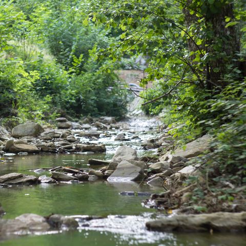 Le Sorgenti Camping Relax - Camping Florence - Afbeelding N°4