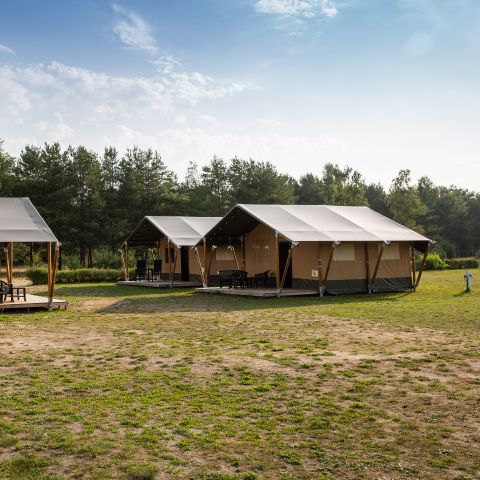 Safaritent 6 personen