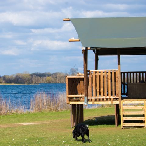 Recreatiepark Riverside Outdoor & Events     - Camping West Maas en Waal - Afbeelding N°4