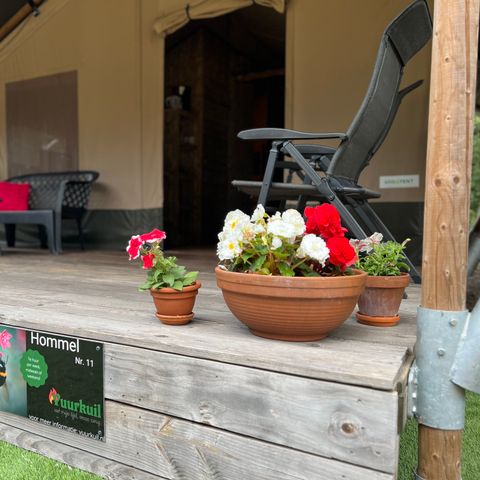 Safaritent 6 personen - incl. sanitair