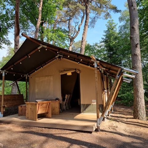 Safaritent 4 personen
