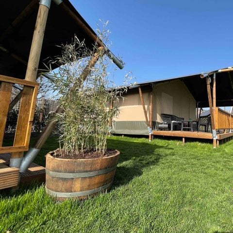 Safaritent 6 personen