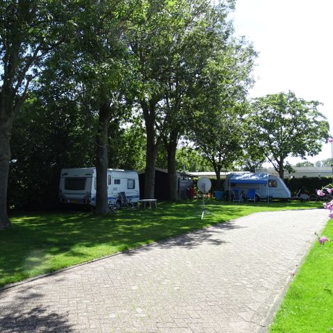 Camping de Hof van Eeden - Camping Leiden - Afbeelding N°6