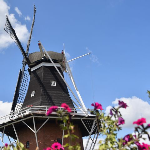 Recreatiepark Westerkwartier - Camping Westerkwartier - Afbeelding N°5